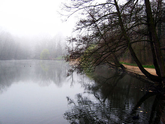 foret domaniale malmaison etang cucufa